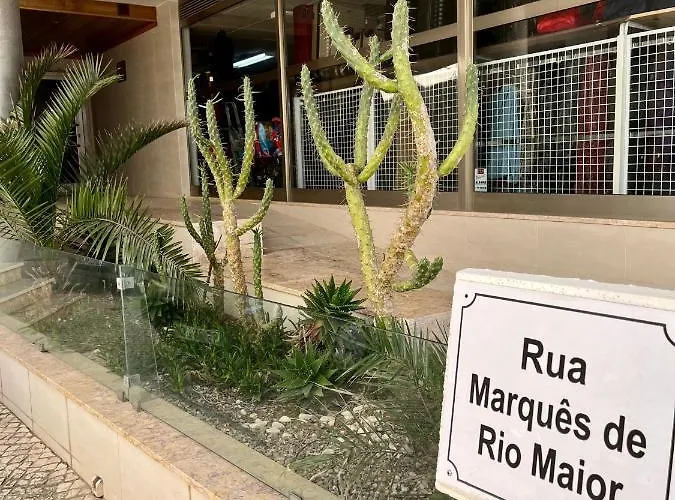 Apart. T2- Perola Do Marques - Apartment